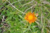 /album/galleria-fotografica/dsc-0314-166-jpg/